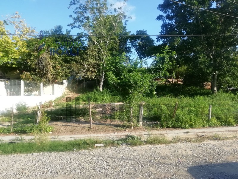 Terreno en Venta en colonia Anahuac