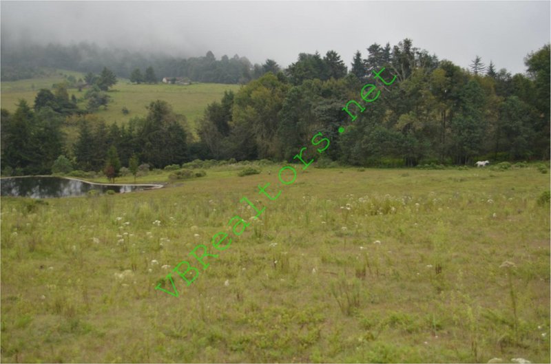 Rancho en Venta en Pinar De Osorios