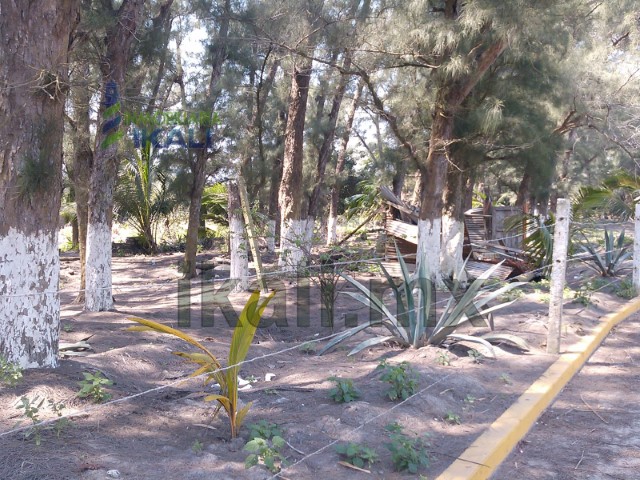 Terreno en Venta en Playa Emiliano Zapata