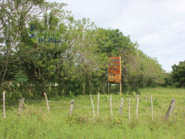 Terreno en Venta en colonia Tuxpan de Rodriguez Cano Centro