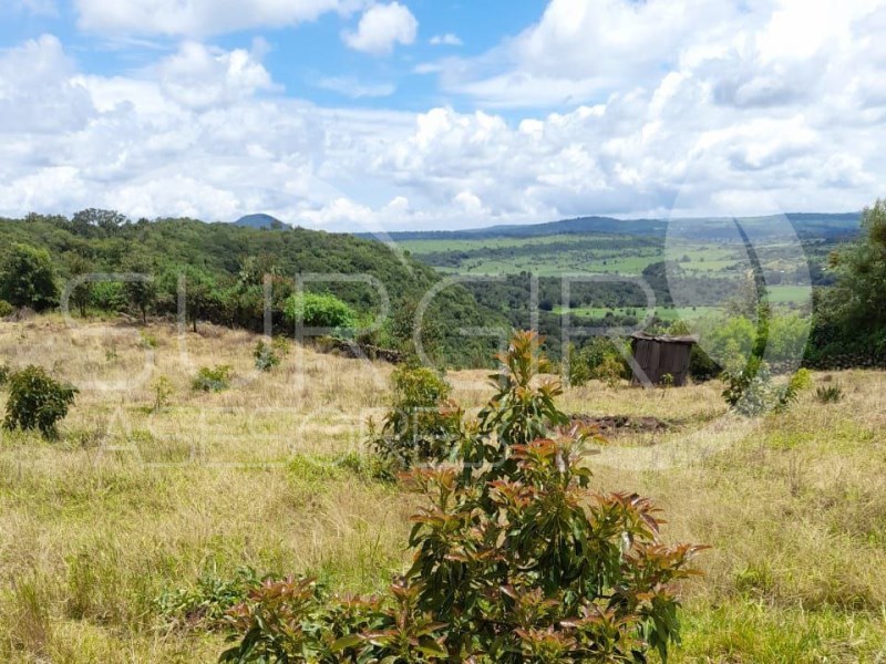 Terreno en Venta en San Bernabe