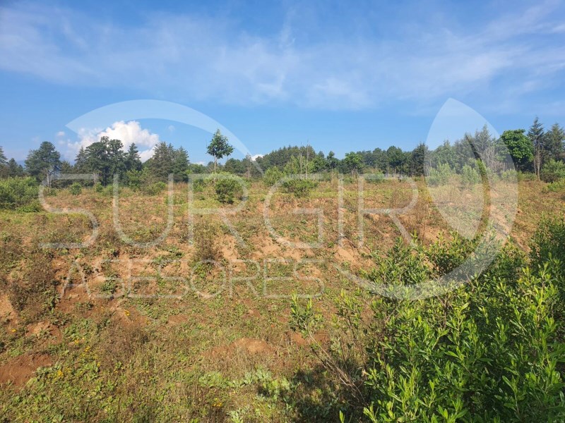 Terreno en Venta en Santa Clara Del Cobre