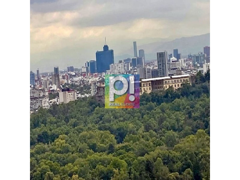 Departamento en Venta en colonia Polanco V Seccion