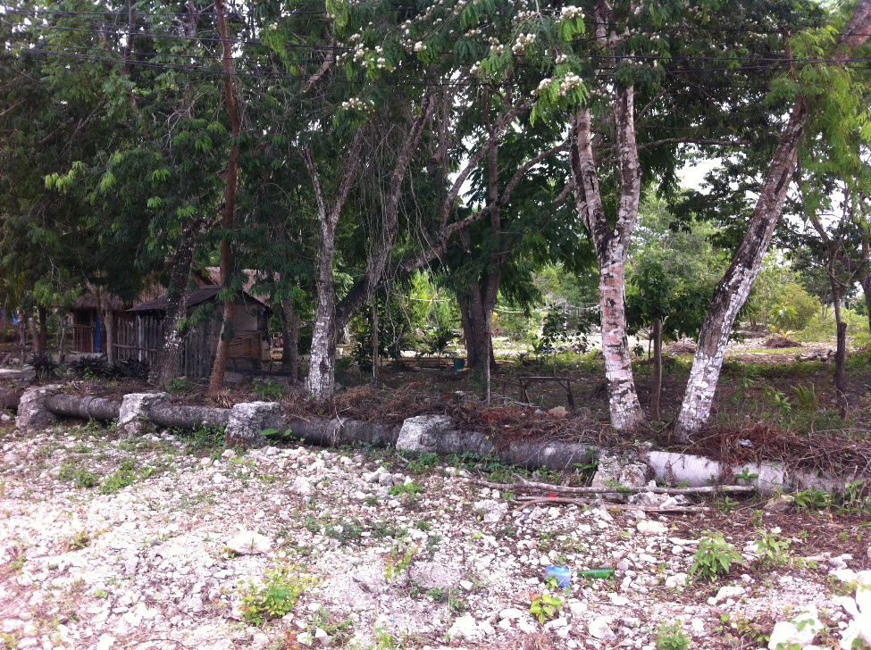 Terreno en Venta en Colonia Cozumel Centro