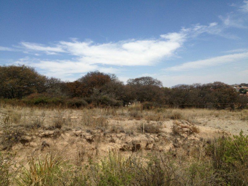 Terreno en Venta en Paseos de Sayavedra