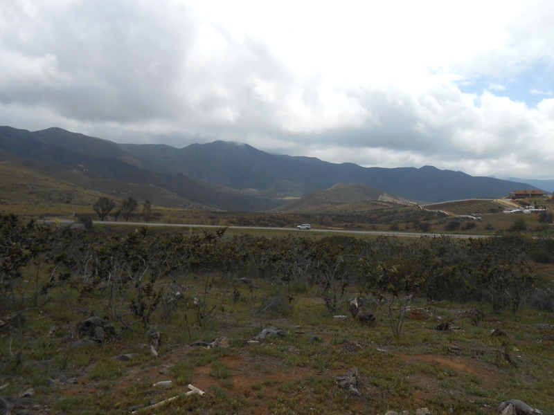 Rancho en Venta en Real del Castillo